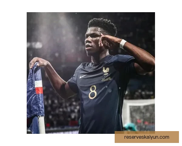 楚阿梅尼技术细节拆解与赛季表现分析，展现其持续提升的能力。